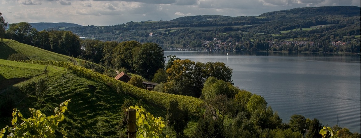 Thurgauer<br>Gourmet-Wanderung